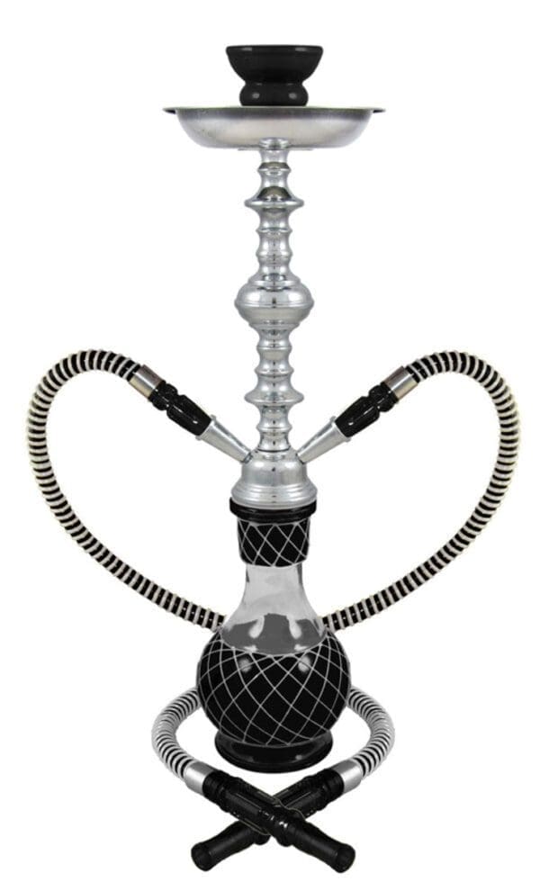 19" Nicolette 2-Hose Premium Hookah | Colors Vary | BluntPark.com