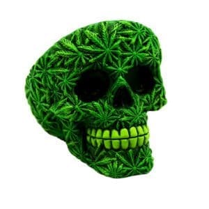 Hemphead Skull Ashtray | BluntPark.com