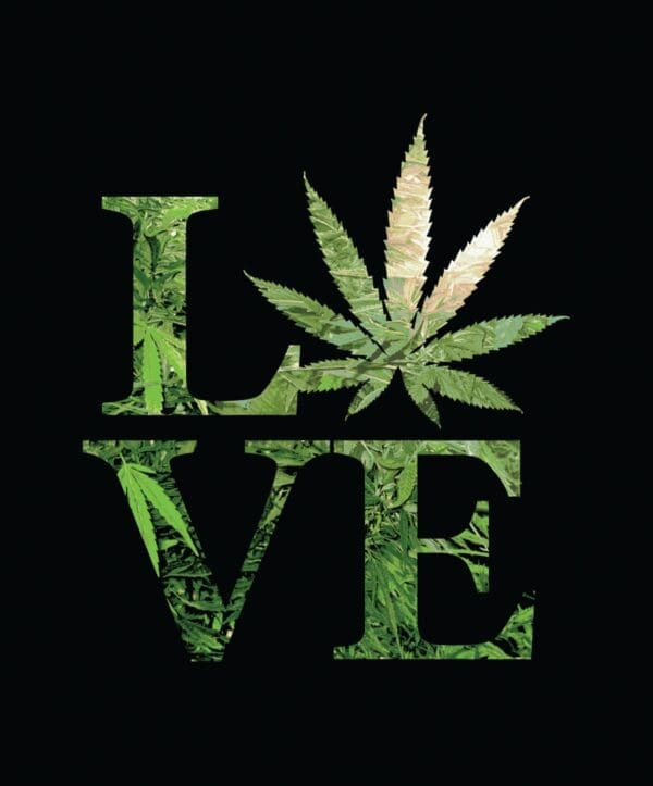 Love Weed Plush Fleece Blanket | Medium Weight | BluntPark.com