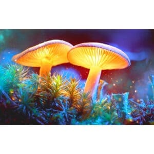 Pulsar Mystical Mushrooms Tapestry | BluntPark.com