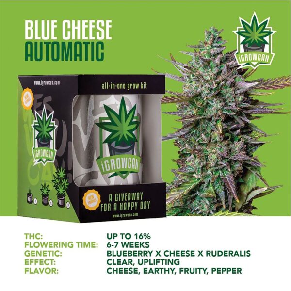 Royal Queen Seeds iGrowCan All-In-One Hemp Grow Kit - Image 5