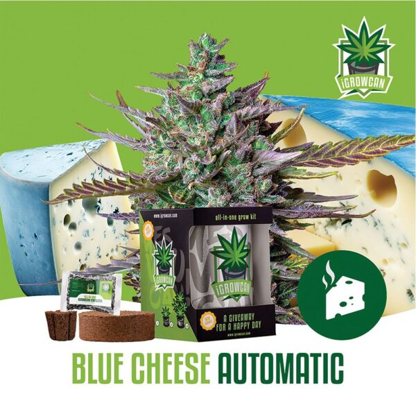 Royal Queen Seeds iGrowCan All-In-One Hemp Grow Kit - Image 6