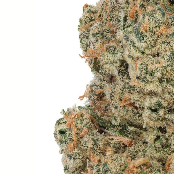 WNC CBD High THCA Indoor Living Soil Flower | 3.5g - Image 5