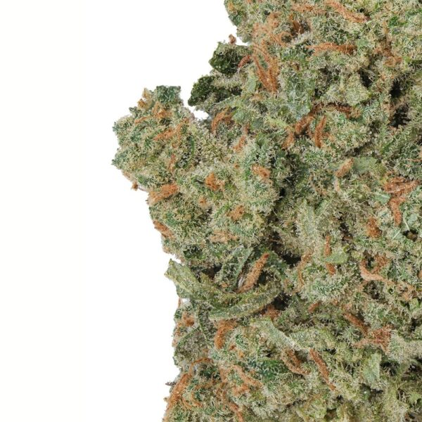 WNC CBD High THCA Indoor Living Soil Flower | 3.5g - Image 8