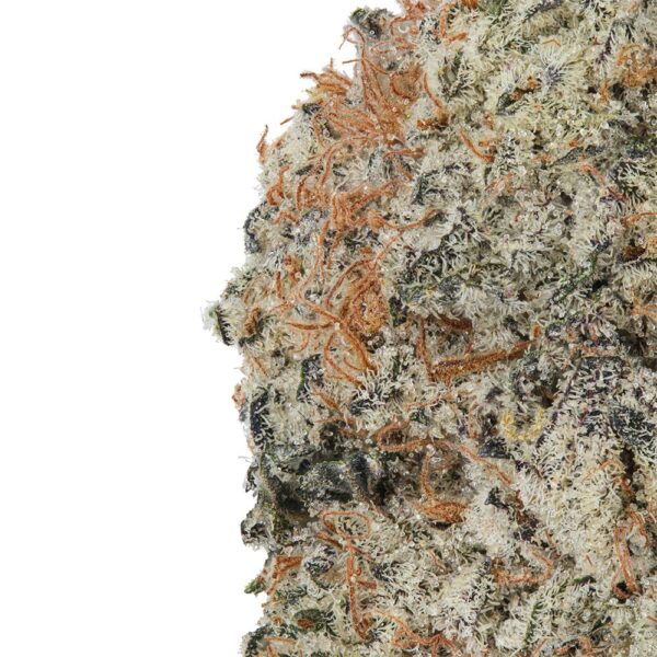 WNC CBD High THCA Indoor Hydro Flower | 3.5g - Image 11