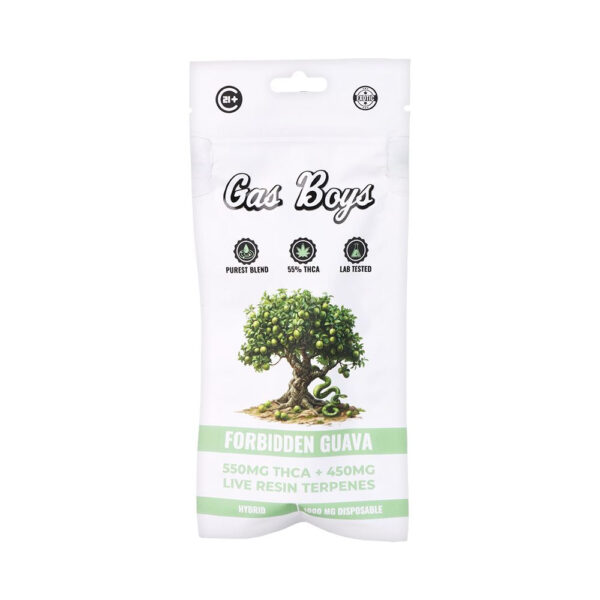 Gas Boys THCA Disposable Vape | 1g | 10ct Display - Image 5