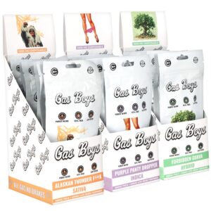 Gas Boys THCA Disposable Vape | 1g | 10ct Display