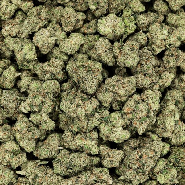 Revelry Premium Indoor THCA Flower | 3.5g - Image 9