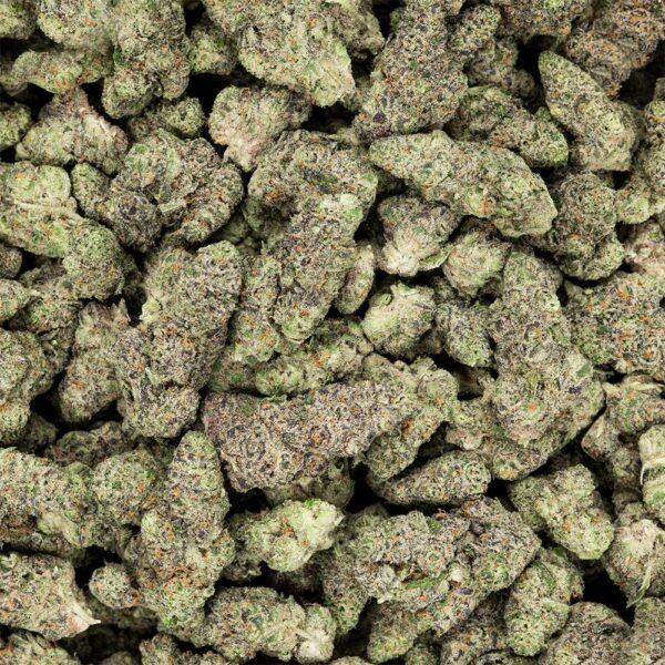 Revelry Premium Indoor THCA Flower | 3.5g - Image 12