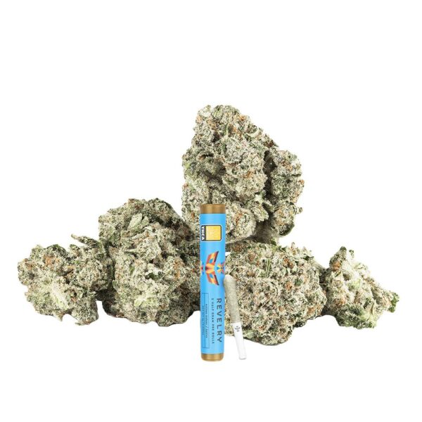 Revelry Premium Indoor THCA Pre-Rolls | 0.5g | 2pc Pack - Image 9