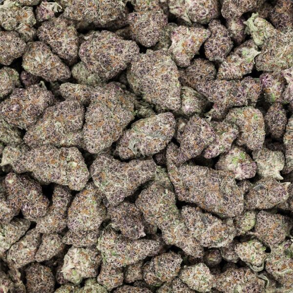 Revelry Premium Indoor THCA Pre-Rolls | 0.5g | 2pc Pack - Image 10