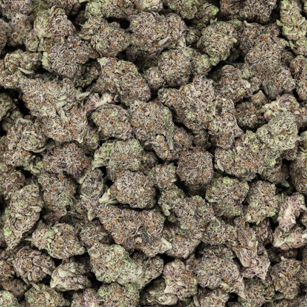 Revelry Premium Indoor THCA Pre-Rolls | 0.5g | 2pc Pack - Image 11