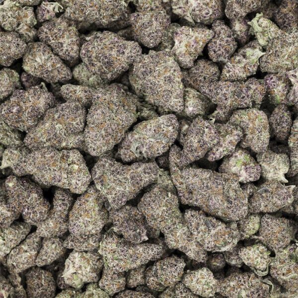 Revelry Premium Indoor THCA Pre-Rolls | 0.5g | 14pc Pack - Image 9