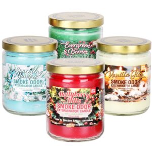 Smoke Odor Exterminator Candles - Holiday Mix / 13oz | 12ct Box