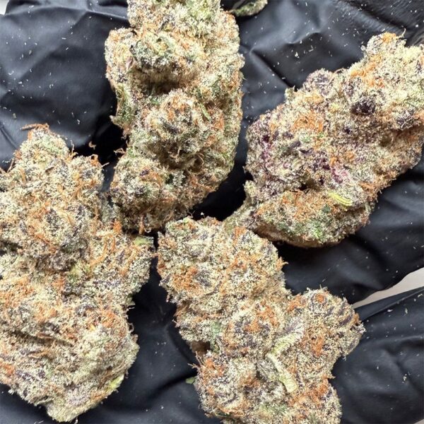 Canvast Premium Indoor THCA Flower | 3.5g - Image 5