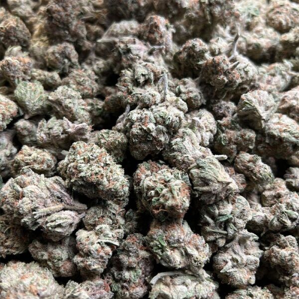 Canvast Premium Indoor THCA Flower | 3.5g - Image 6