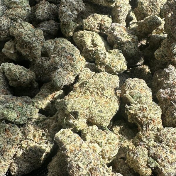 Canvast Premium Indoor THCA Flower | 3.5g - Image 8